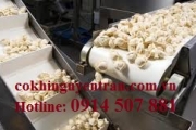 Băng tải thực phẩm