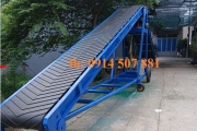 băng tải cánh bướm