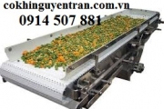 Băng tải thực phẩm